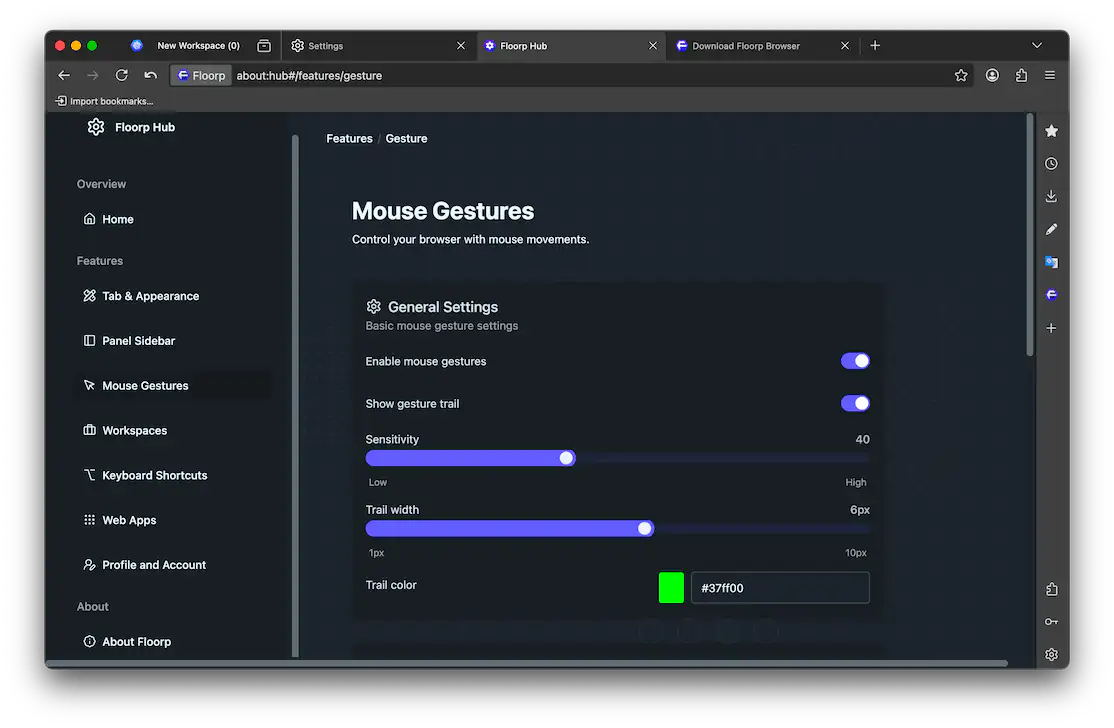 Basic Mouse Gesture settings